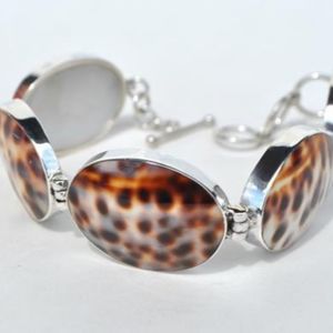 Tiger Cowrie Shell Sterling Silver linked Bracelet